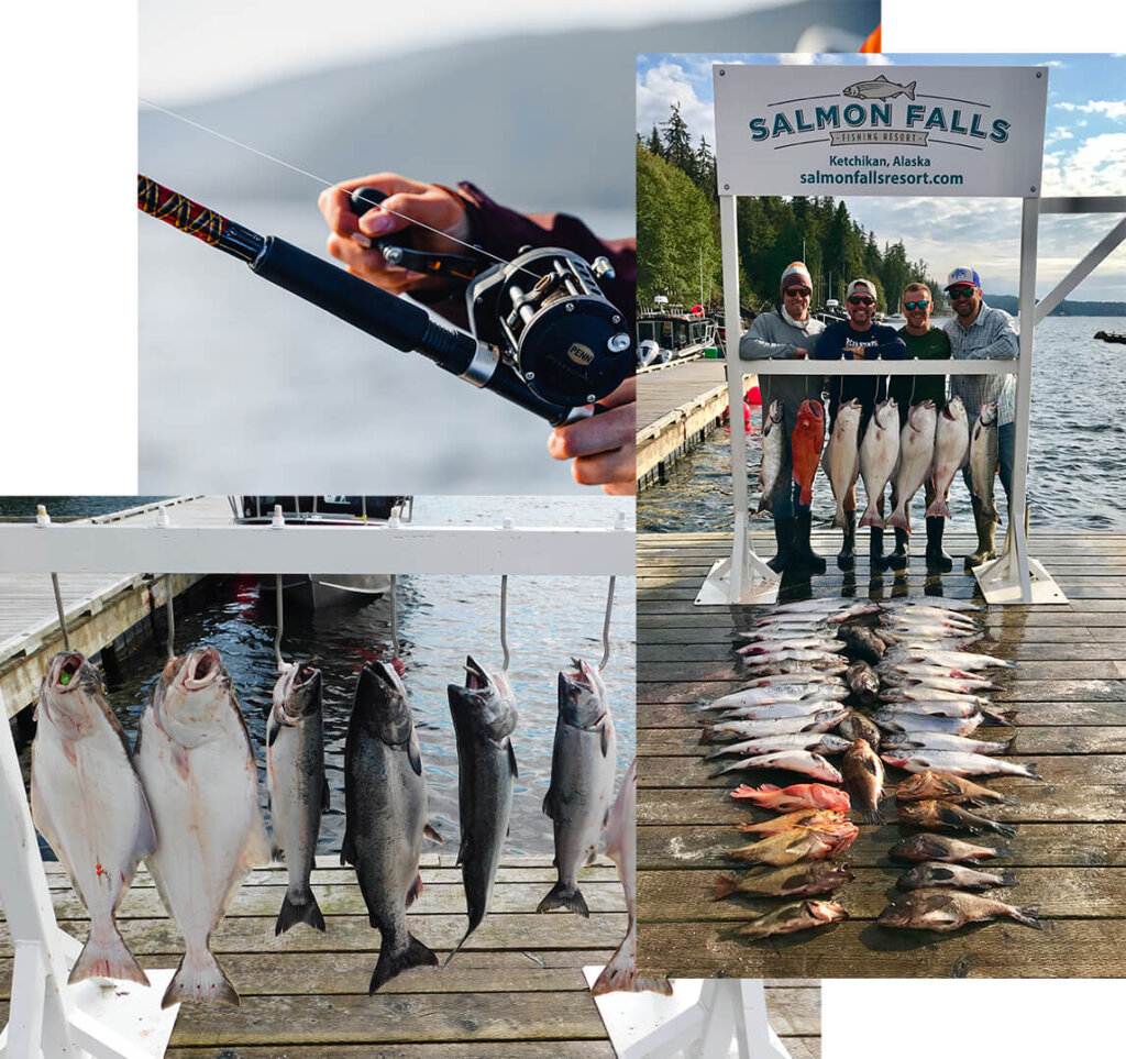 Salmon Falls Resort Fishing catches on display